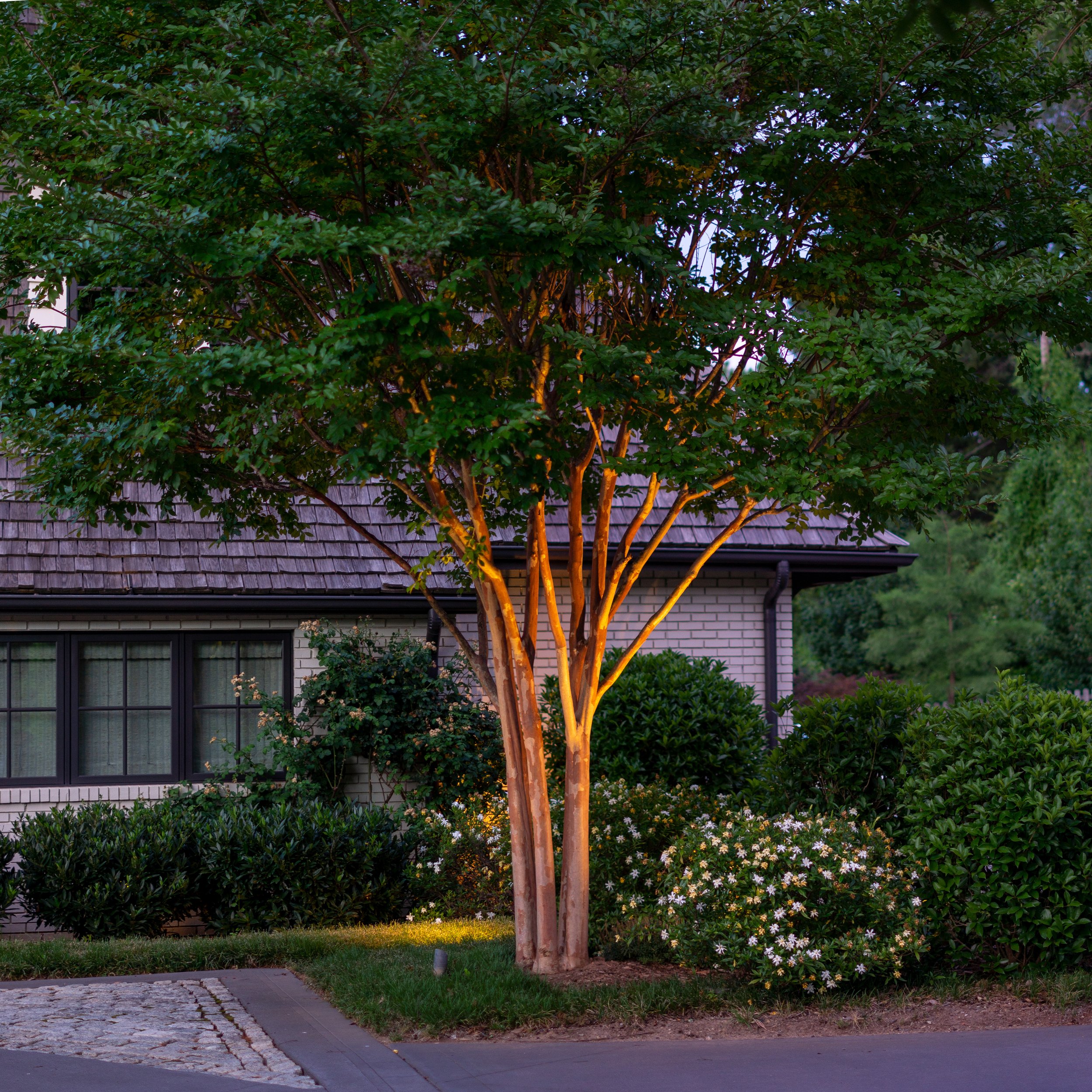 Landscape Lighting, Foxcroft