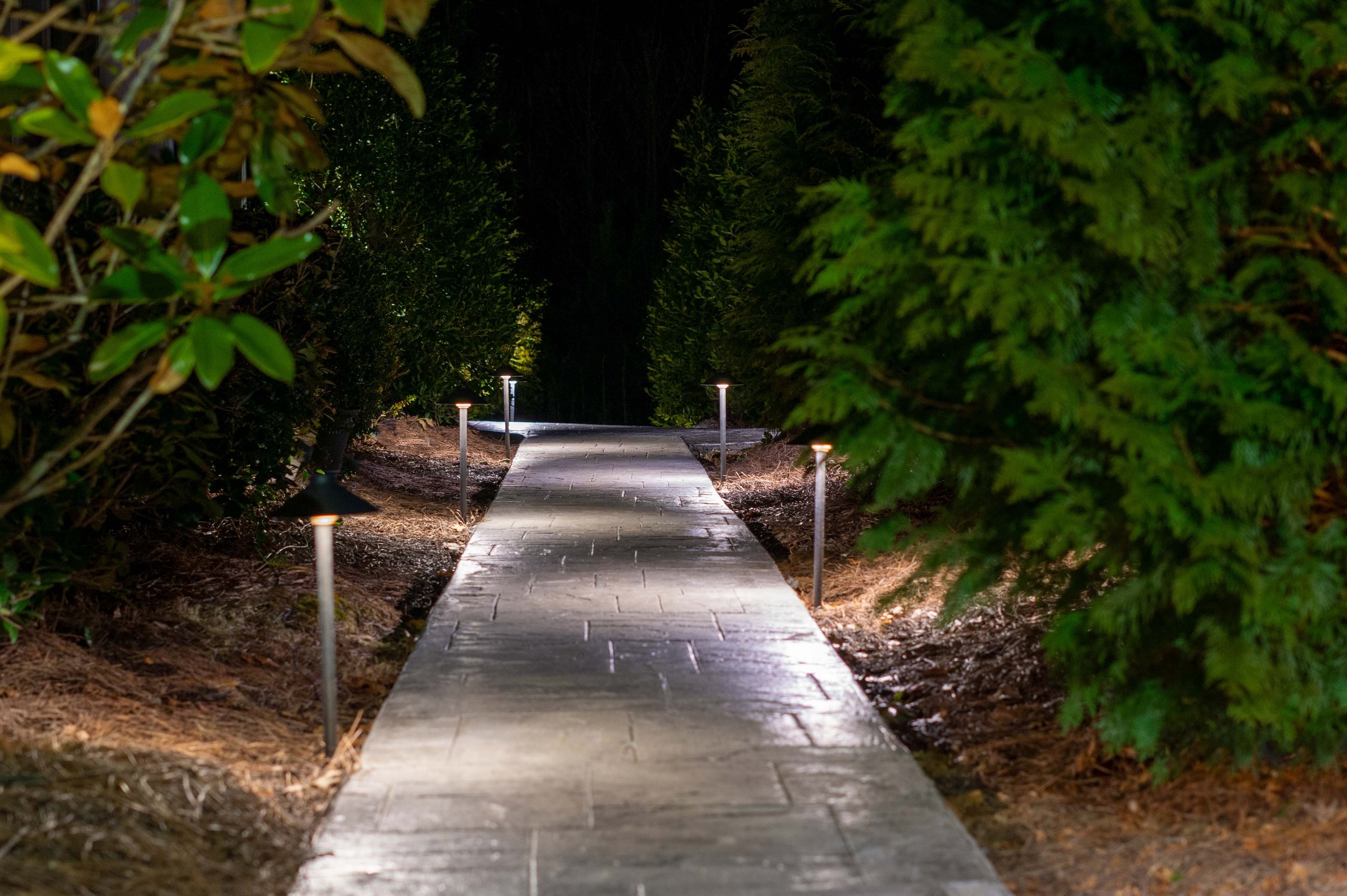 Stamped concrete path flanked by mulch beds with a variety of bushes and trees is illuminated with staggered path lights on both sides of the walkway.