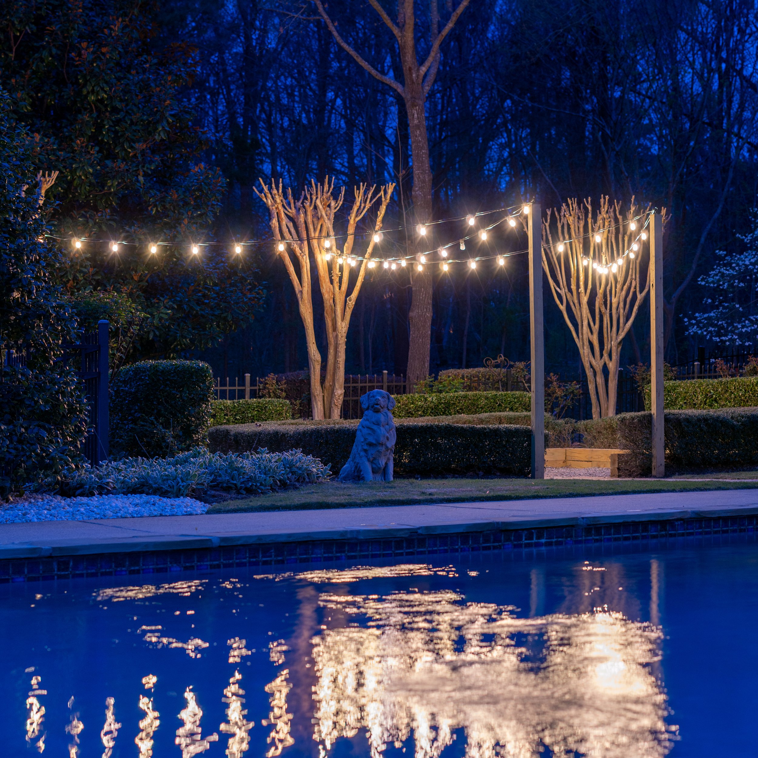 Charlotte Home with Bistro Lights