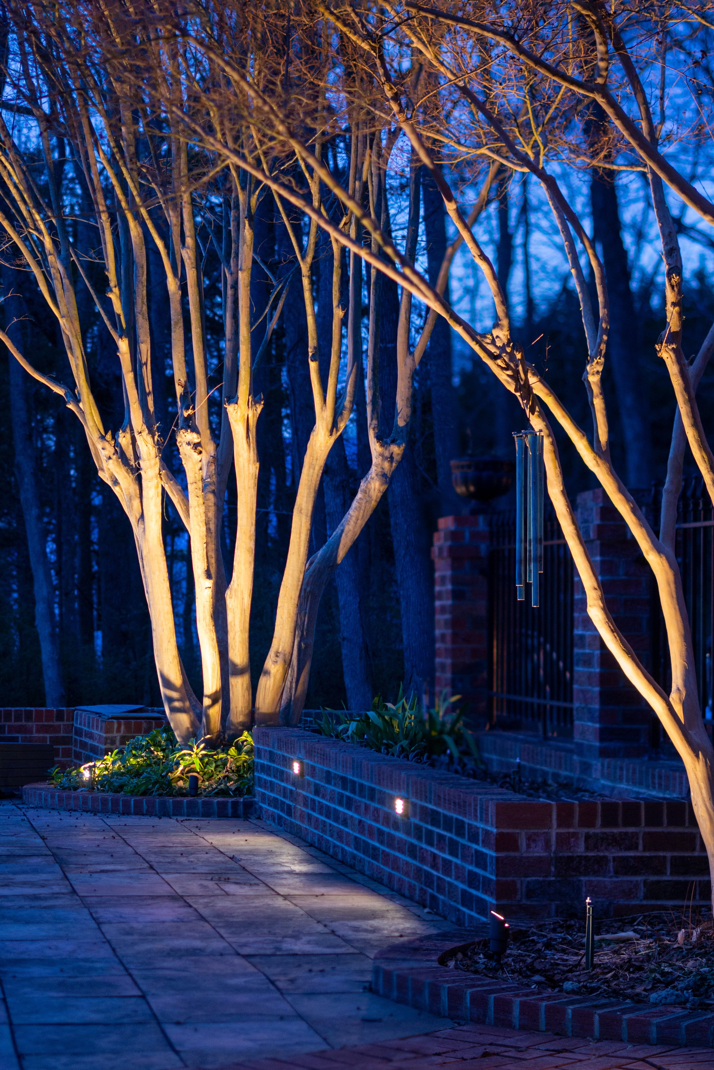 Close up image taken in winter of two crepe myrtle trees without leaves illuminated with accent lights. Trees are situated within a brick patio area with lights mounted in the brick to create ambient light for a fire pit area.