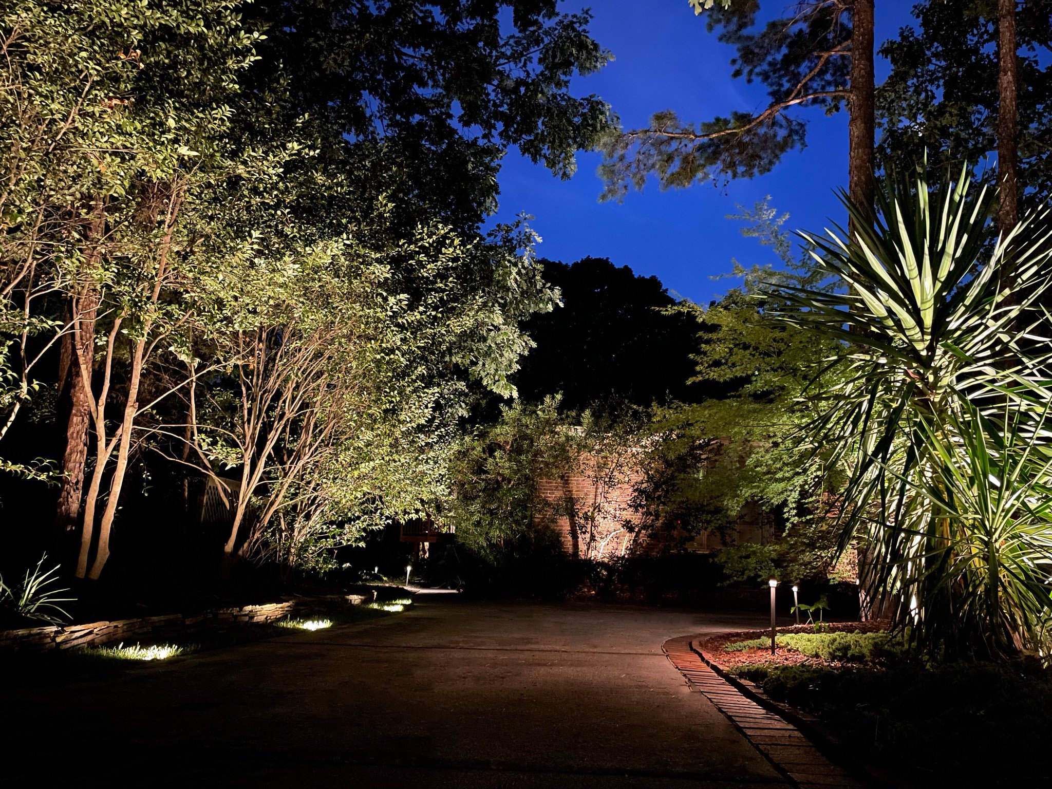 Front driveway of a red brick home is lit with a variety of landscape lights including path lights and accent lights on trees and larger plants.