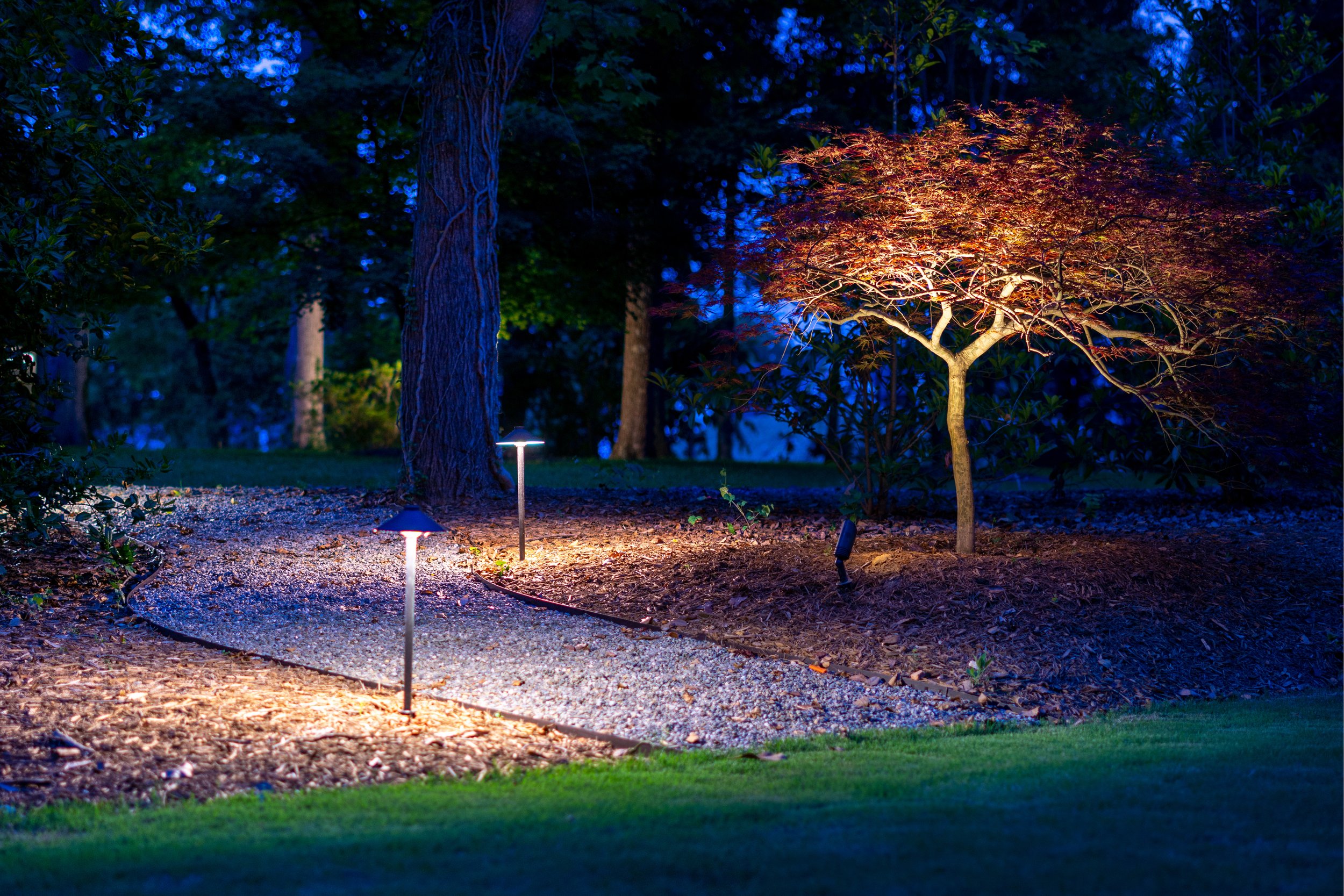 Custom landscape lighting. Rock path through a mulched landscaping bed featuring path lights and accent lighting on a small japanese maple tree. 