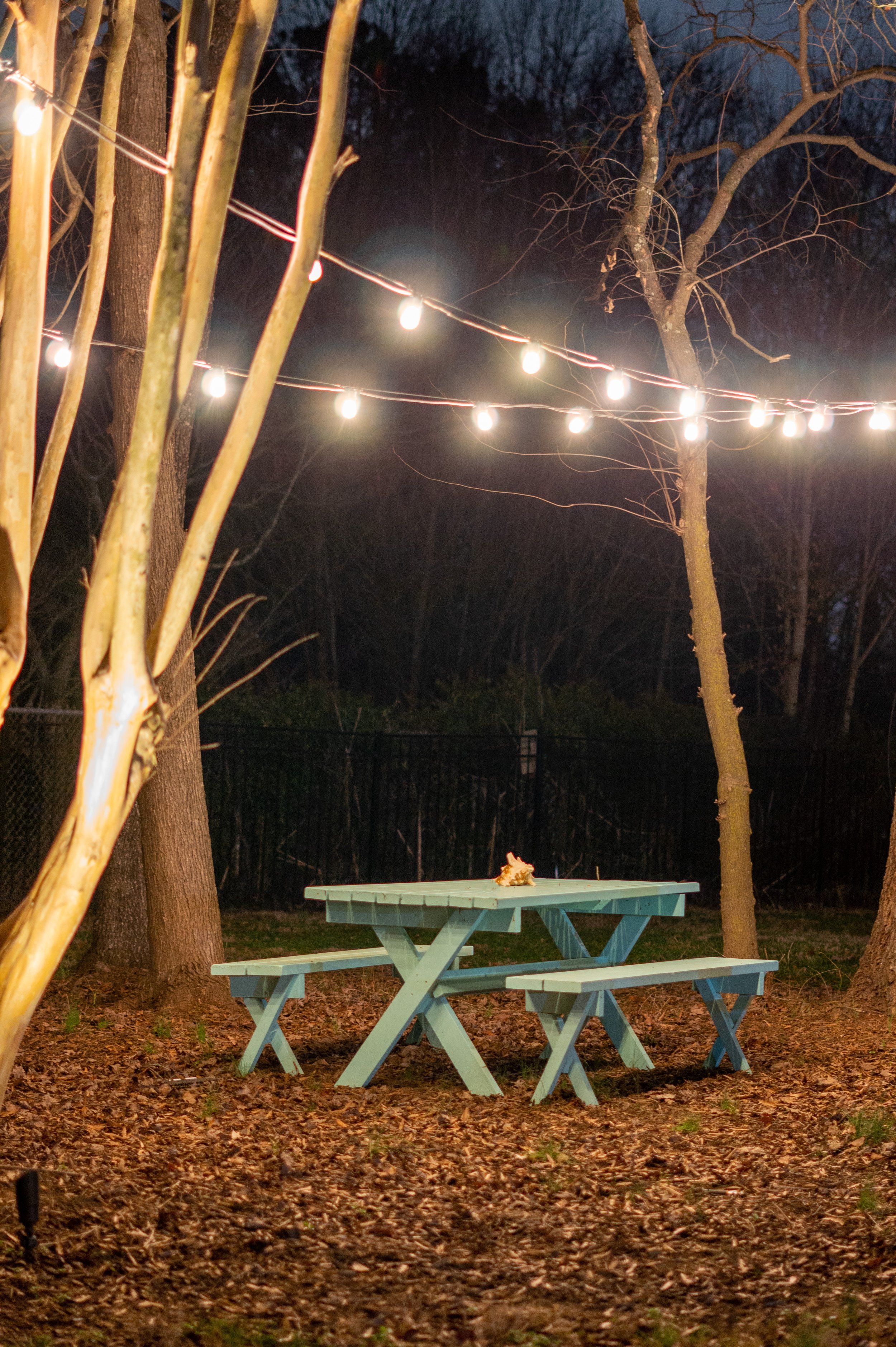 Outdoor picnic area with a mint green picnic table and benches is illuminated by bistro lights strung between trees. Trees are without leaves because the picture was taken in winter.