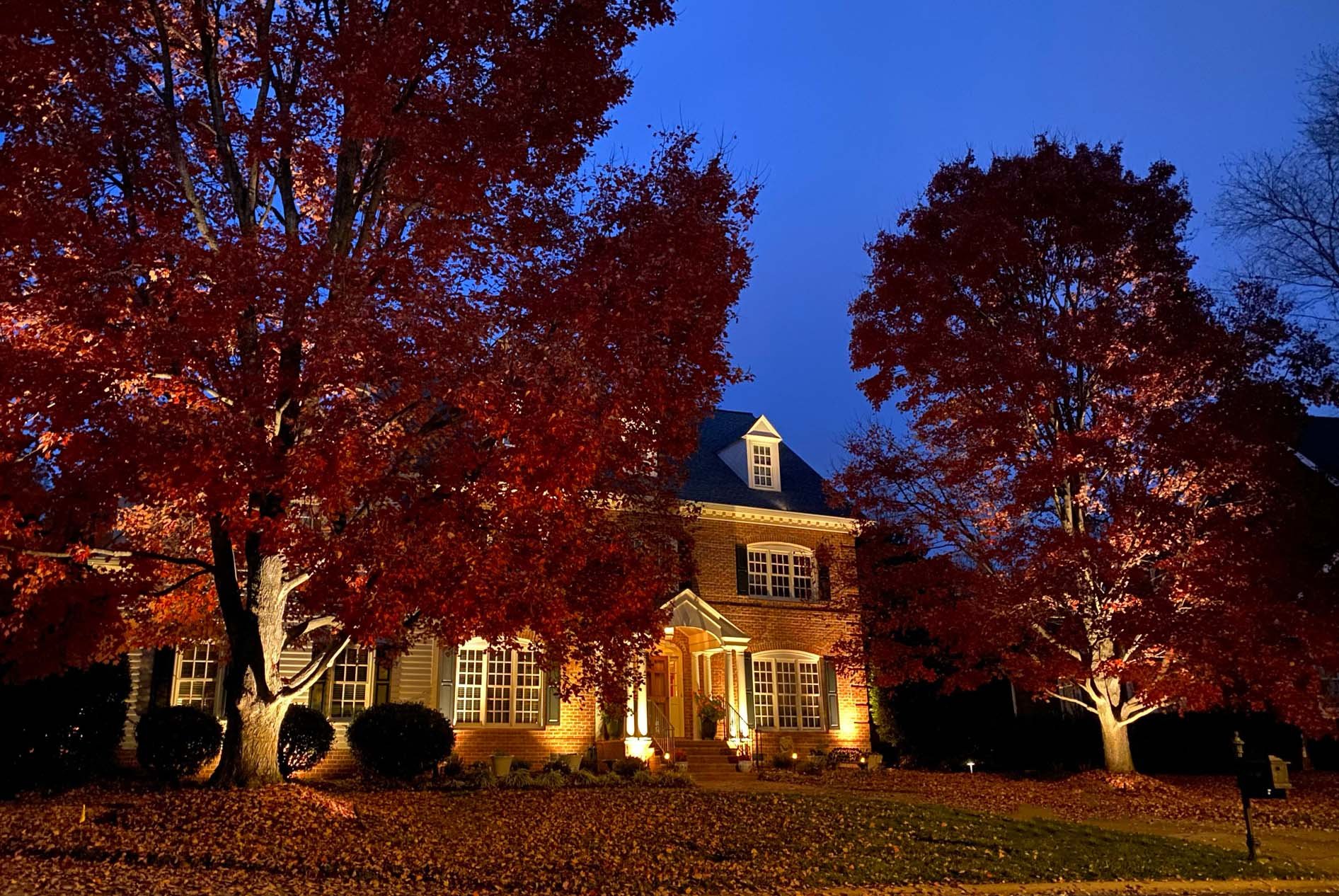 Red brick home with shutters illuminated with landscape lighting. Accent lights on trees illuminating two large oak trees with red leaves in the front lawn.